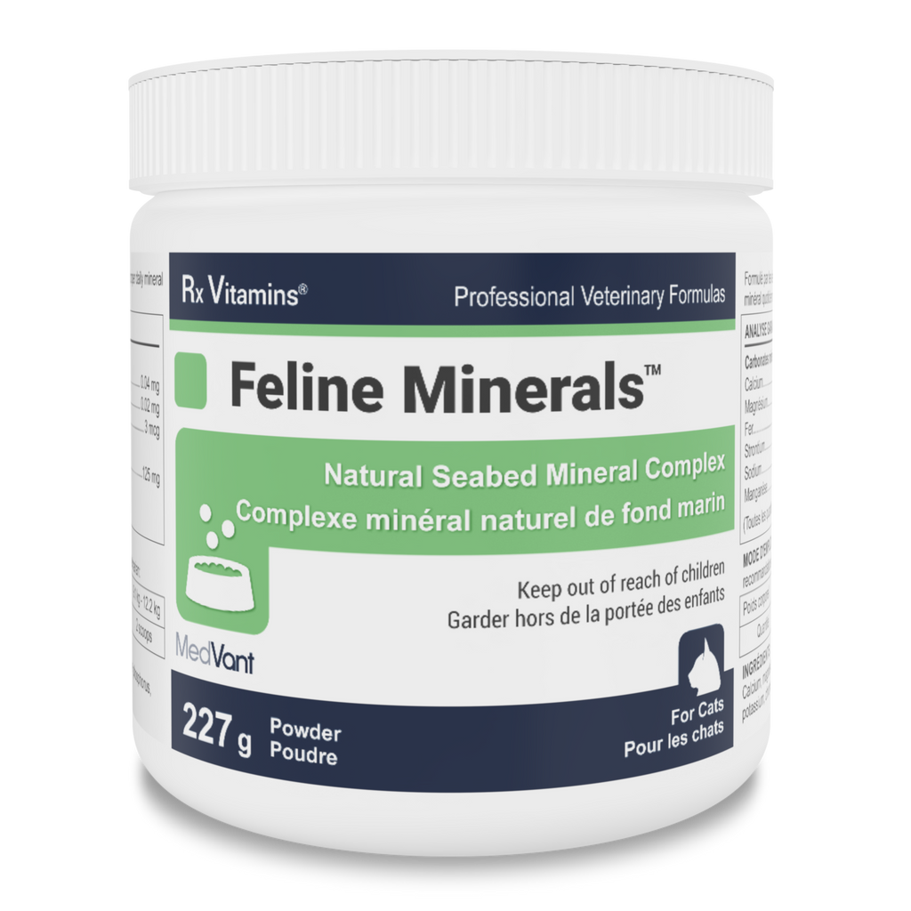 Footifiers Vitamins, Minerals & Fortifiers - Cats – WellnessVet.ca