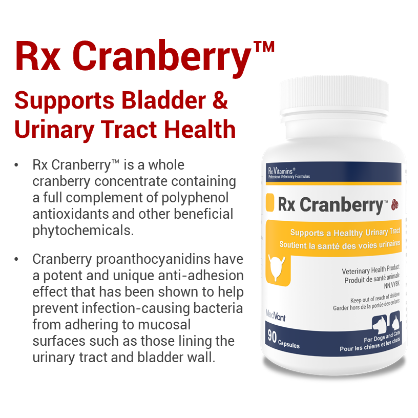 Rx Cranberry